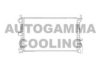 AUTOGAMMA 102071 Radiator, engine cooling